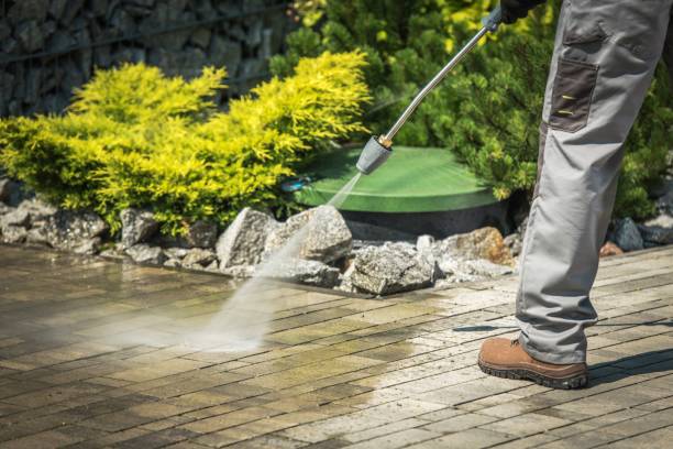 Best Animal Enclosure Cleaning  in Kyle, TX