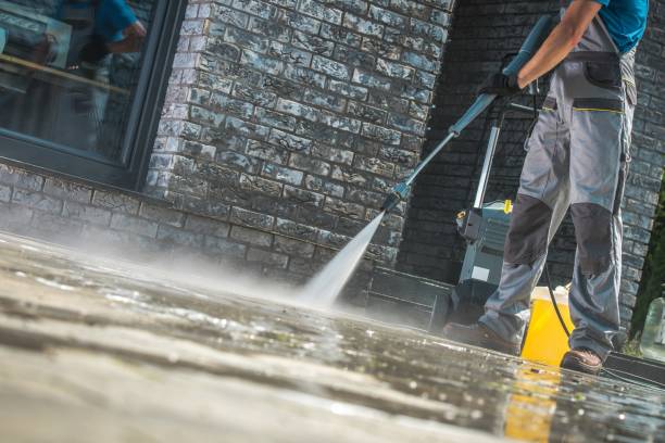 Best Animal Enclosure Cleaning  in Kyle, TX
